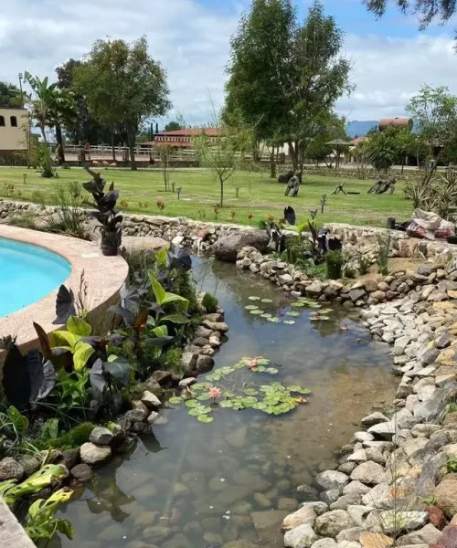 AlbercasNaturales (1)