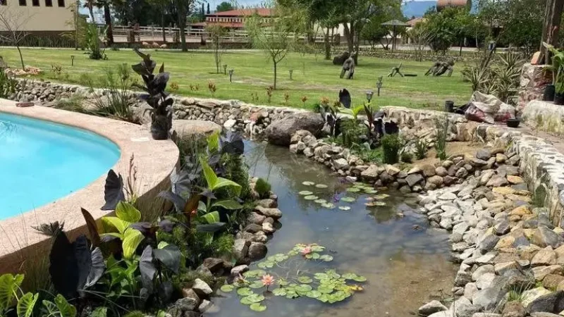 AlbercasNaturales (1)